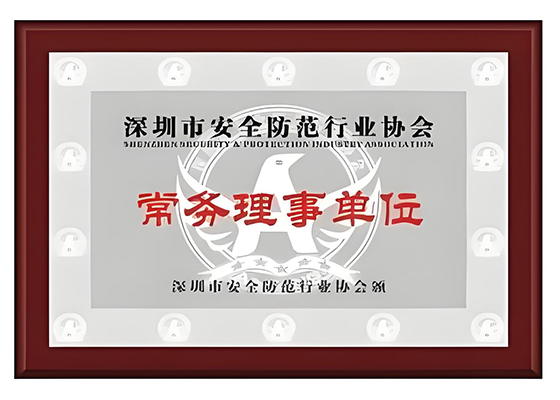 2010-06